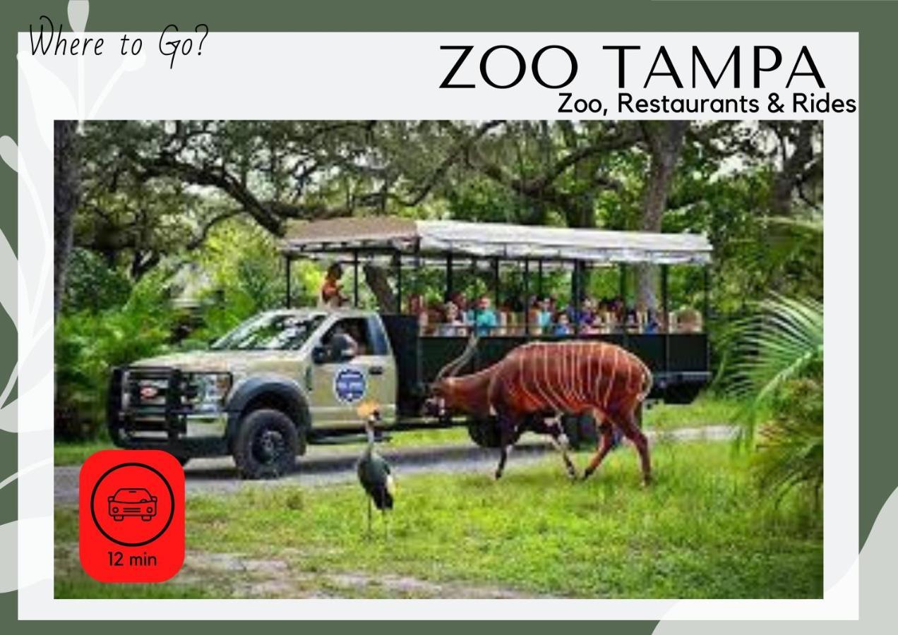 Cozy Home In Tampa Near Ybor & Busch Gardens Εξωτερικό φωτογραφία